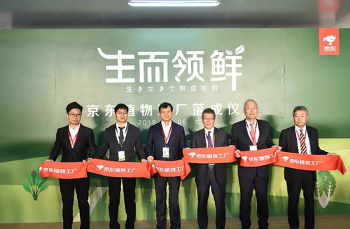 从智慧养猪到无土种菜 京东生物技术服务的创新蓝图